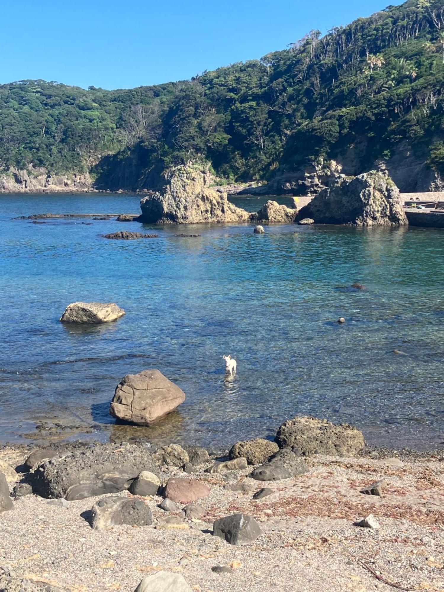 貸別荘吉佐美苑 Shimoda  Exterior foto